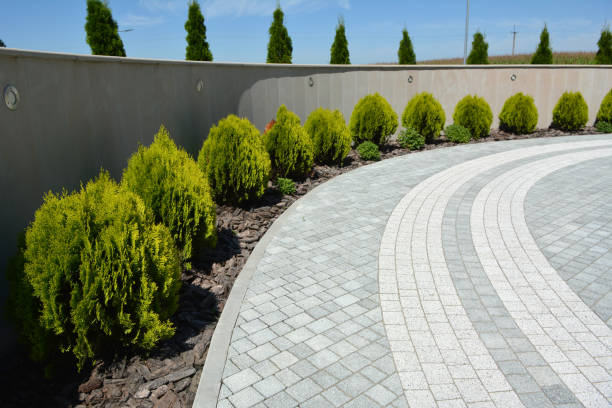 Best Permeable Paver Driveway  in Wichita Falls, TX